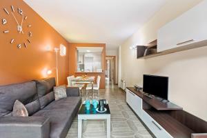 TV a/nebo společenská místnost v ubytování Ski Apartments El Tarter