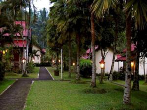 eine Straße mit Palmen und einer Straßenlaterne in der Unterkunft Kalibaru Cottages in Banyuwangi