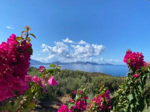 a view of a body of water with pink flowers at Federico Villa in Khalikerí