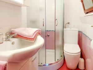 a bathroom with a sink and a toilet and a shower at Apartment Danica-1 by Interhome in Peroj