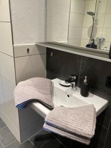 a bathroom with a sink and a mirror at Appartement Willems in Konz +9 photos