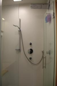 ducha con puerta de cristal y cabezal redondo en Danube Apartment with City View, en Viena