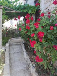 Fotografia z galérie ubytovania Relax house villagge Obrš,Riviera Opatija v Moščeničke Dragej