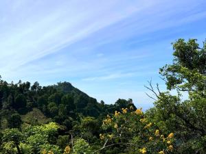 Phong cảnh thiên nhiên gần nhà khách