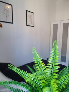 eine grüne Pflanze neben einem Bett in einem Zimmer in der Unterkunft Apartament Nowy Port 7 in Gdańsk Letnica