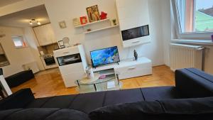 TV a/nebo společenská místnost v ubytování Sova