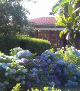 En have udenfor A Casa do Buxo