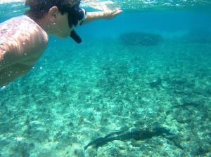 a man is looking at a fish in the water at Thalassa Beach House - Kea Villa Rent - Kastellakia Bay Villas in Pisses