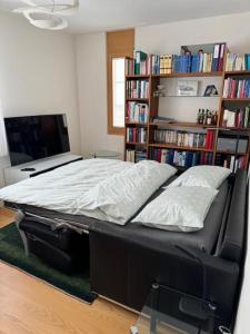 Galeriebild der Unterkunft Design Flat Davos in Davos + 5 Fotos