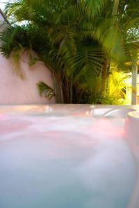 Kolam renang di atau dekat dengan Charming bungalow in Saint Barthélemy with shared pool