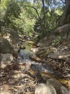 Fotografie z fotogalerie ubytování Backpacker's Dream with detached bathroom, private trails and creek! v destinaci Topanga Park