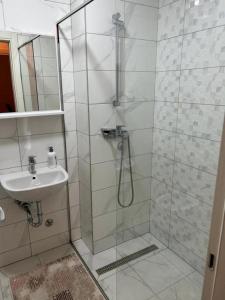 a bathroom with a shower and a sink at Apartment Shine in Konik