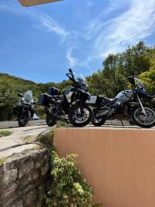 Fotografie z fotogalerie ubytování Guesthouse P&A v destinaci Budva