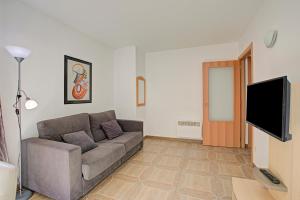 Un televizor și/sau centru de divertisment la Andorra Friends' Ski Apartment - Happy Rentals