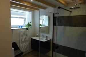 ein Badezimmer mit Waschbecken und Glasdusche in der Unterkunft Le Pommier Gite neuf avec parking privé clos in Jullouville-les-Pins + 12 Fotos