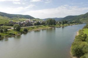 Příroda nedaleko hotelu