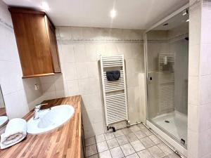 un baño con lavabo y ducha en Appartement Spacieux et Lumineux Proche Valence, en Saint-Péray