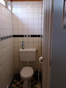 a small bathroom with a white toilet in a room at De Stormmeeuw in Egmond aan Zee