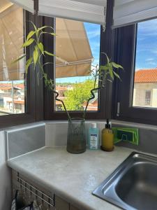 Fotografie z fotogalerie ubytování Artemis House v destinaci Nea Fokea