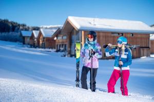 Kreischberg Chalets by ALPS RESORTS v zime