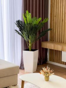 Photo de la galerie de l'établissement Boulevard Apartment, à Tirana