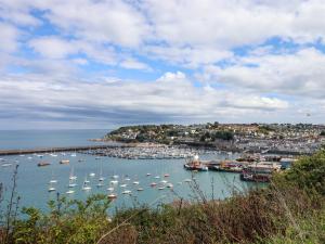 a harbor with many boats in the water at Brixham Breeze Cabin in Brixham