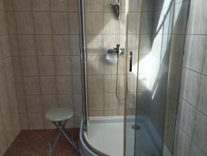 a shower with a glass door and a stool in a bathroom at Gospodarstwo agro Nad Kamienną in Bałtów