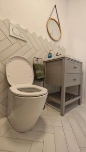 a bathroom with a toilet and a vanity and a mirror at Gili Home Timisoara in Timişoara +33 photos