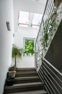 A garden outside Bagoly Fogadó