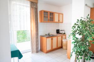 A kitchen or kitchenette at Bagoly Fogadó