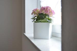 a white vase with flowers sitting on a window sill at Ferienwohnung Sporn in Hemfurth-Edersee