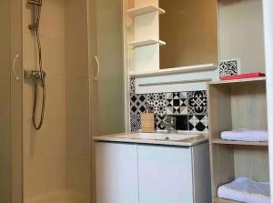 a small bathroom with a sink and a shower at Studio rénové gare Dijon in Dijon