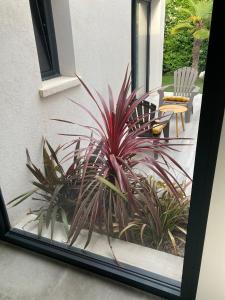 Ogród w obiekcie Maison élégante à Bouc-Bel-Air avec piscine privée