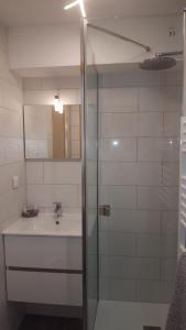 Ένα μπάνιο στο Appartement familial avec vue sur le lac 35 m²