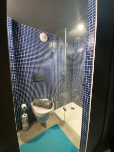 a blue tiled bathroom with a toilet and a shower at Loft Bellamy in Nantes +26 photos