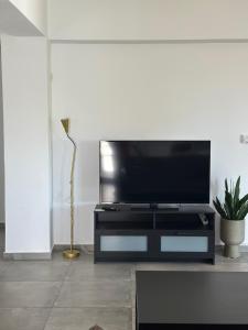 TV a/nebo společenská místnost v ubytování Artemis House