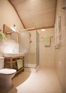 Un baño con ducha, inodoro y lavabo. en Fazenda na Goncharakh, en Ganʼchary