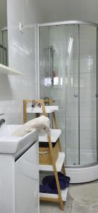 a white bathroom with a sink and a shower at Apartments Martina in Osijek