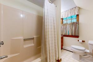 ein Badezimmer mit Toilette und Dusche in der Unterkunft Dog Cove Cottage in Center Harbor + 15 Fotos