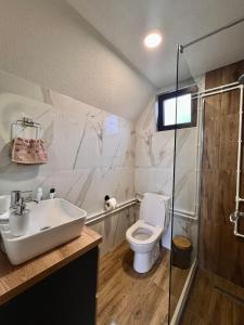 a bathroom with a toilet and a sink and a shower at NORTH VILLAS Žabljak in Žabljak +50 photos