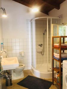 a bathroom with a shower and a toilet and a sink at Erdőszéli nyaralóház Mindszentkálla in Mindszentkálla