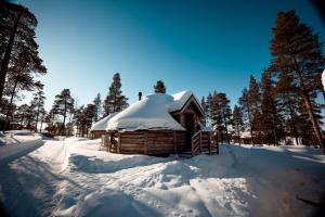 Wilderness Hotel Nangu & Igloos v zimě