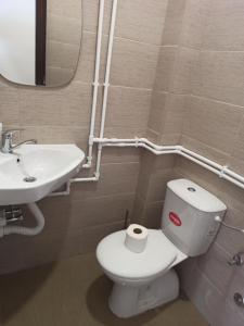 un bagno con un water bianco e un lavandino di Apartman Milutinovic a Vranje