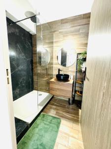 un bagno con doccia in vetro e lavandino di Bel appartement proche Parc & Lac a Rennes
