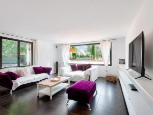 Телевизор и/или развлекательный центр в Holiday Home Villa Montagne by Interhome