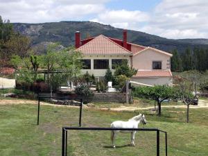 Imagen de la galería de El Mirador de Tórtoles Borrar, en Tórtoles