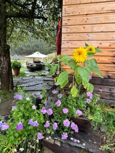 En hage utenfor Pirikiti