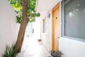 克雷塔罗Modern Apt with Workspace in Central Queretaro的建筑物一侧有树的走廊