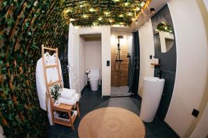 a bathroom with a shower and a toilet in it at Kallias Dome Resort in Sovata