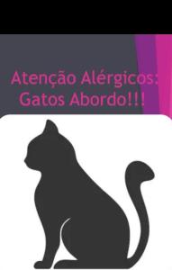 a picture of a cat with the wordsaccoaccoacco cats abandoned at Lapa Casa Hostel in Rio de Janeiro